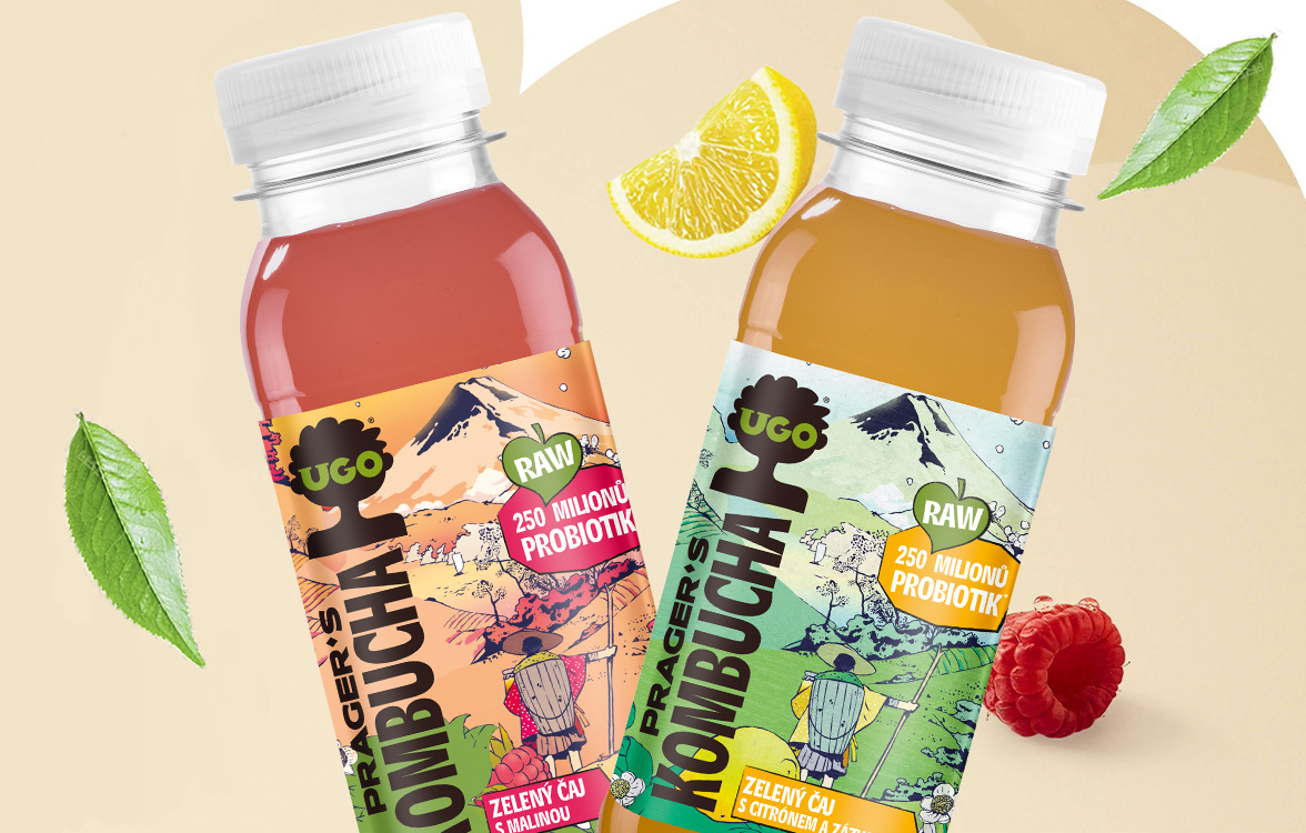 UGO Kombucha se zeleným čajem